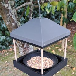 Mangeoire à zoizeaux